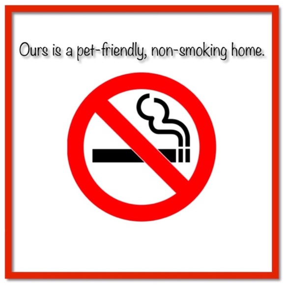 Morphe x Jeffree Star Eye Brush Collection - Picture 8 of 8